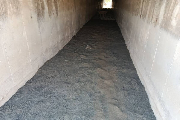 ایمن سازی