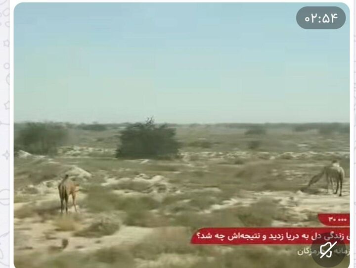 ویدیو| تلاش راهداران برای ایجاد مسیر جایگزین پل کهورستان مسیر مهم ترانزیتی غرب و شمال غرب استان هرمزگان ‌