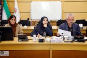 ببینید | نشست مدیرعامل شرکت ساخت و توسعه زیربناهای حمل‌ونقل کشور با هیئت ارمنستانی درخصوص آخرین وضعیت احداث پل دوم مرز نوردوز