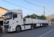 ببینید | همراهی ناوگان حمل‌ونقل جاده‌ای خراسان جنوبی در مسیر خدمت به زائران اربعین حسینی