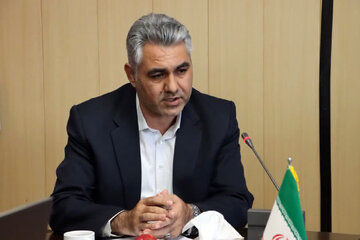 محسن رضوی
