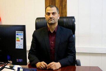 شجری