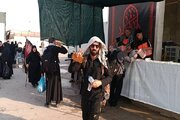 ببینید|برپایی موکب فعالان حمل ونقل استان البرز در  پایانه مرزی مهران و پذیرایی از زائران اربعین حسینی