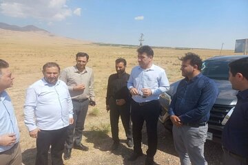 بازید