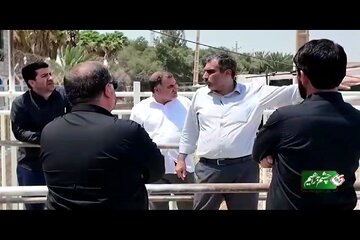 ️ویدیو | شورای دستگاه های نظارتی استان کرمانشاه از پایانه مرزی خسروی
