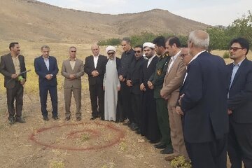 مجتمع خدمات رفاهی