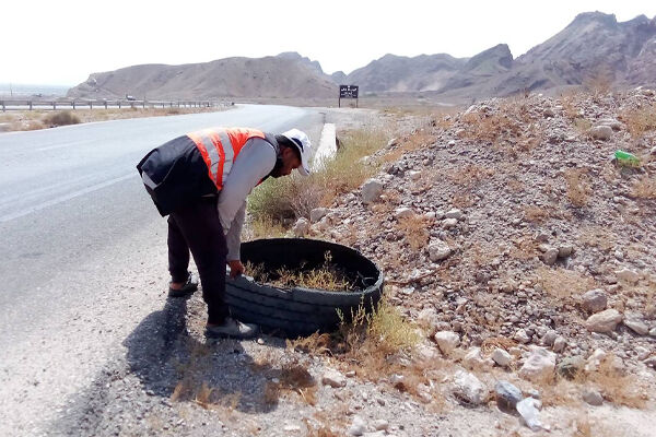 پاکسازی و ایمن سازی