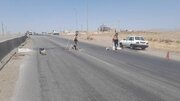 ببینید/ اجرای عملیات آشکارسازی سرعتکاه در محور قدیم قزوین_رشت توسط راهداران کوهین در استان قزوین