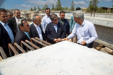 بازدید