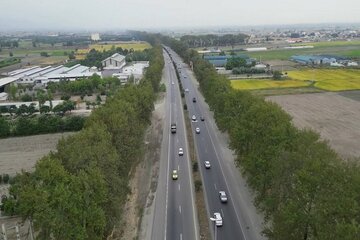 گلستان