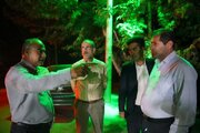 بازآفرینی