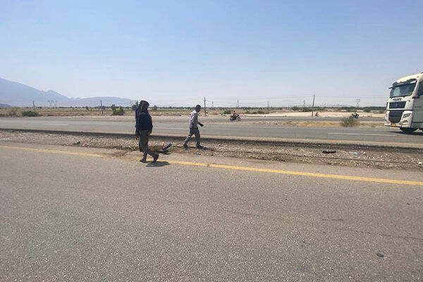 ارتقاء ایمنی حاجی آباد