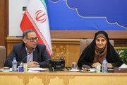 ببینید | سی و پنجمین نشست شورای ساماندهی مبادی ورودی و خروجی مجاز زمینی کشور