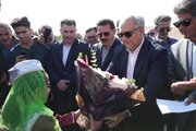 ایلخچی
