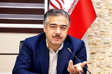 محسن زاده