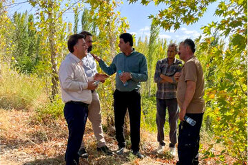 بررسی موانع تملک و آزادسازی اراضی در محور دالین–نورآباد شهرستان سپیدان