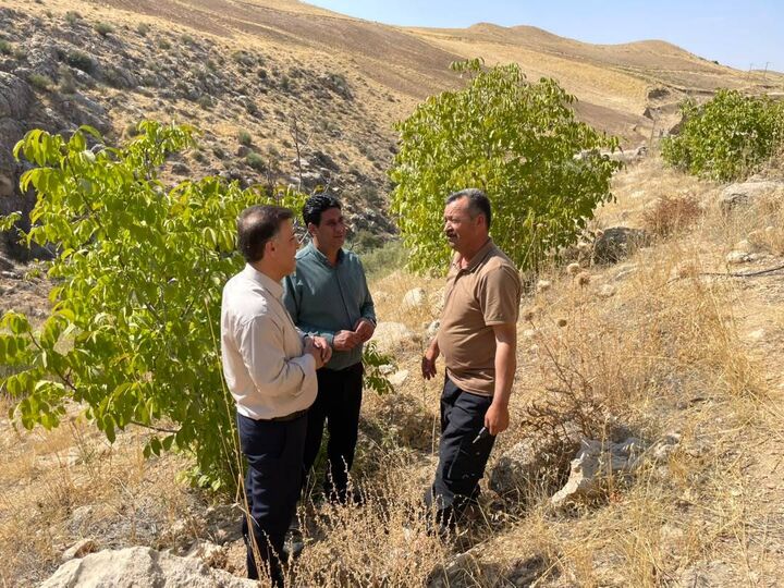 بررسی موانع تملک و آزادسازی اراضی در محور دالین–نورآباد شهرستان سپیدان