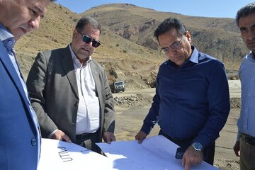 داوودی