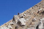ببینید|عملیات رهاسازی سنگ های معلق (لق گیری سنگ)در محور روستایی کرج کندوان
