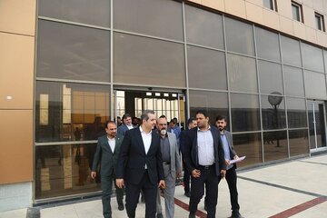 ریلی