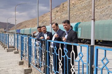 ریلی