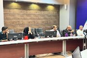 برگزاری نشست تعیین تکلیف قانون ساماندهی بوشهر