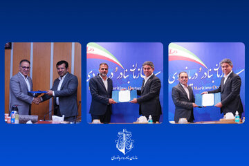 مدیران سازمان