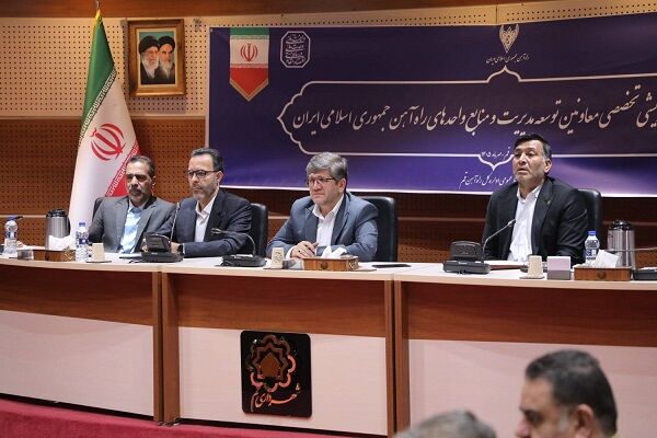 ریلی