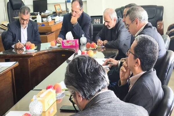 ریلی