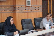 برگزاری جلسه کمیته کار کمیسیون ماده ۵ طرح تفصیلی شهر بوشهر