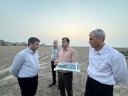 راه و شهرسازی گلستان
