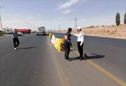 ببینید/ عملیات نصب نیوجرسی در محور کرمان_باغین (دوربرگردان شهرک صنعتی خضرا)