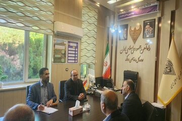 ریلی